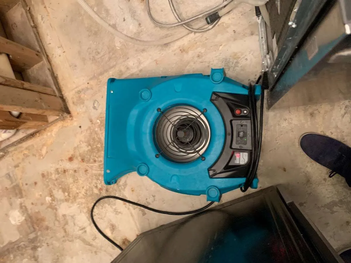 Air mover drying equipment for Mold Remediation & Removal in Inkster